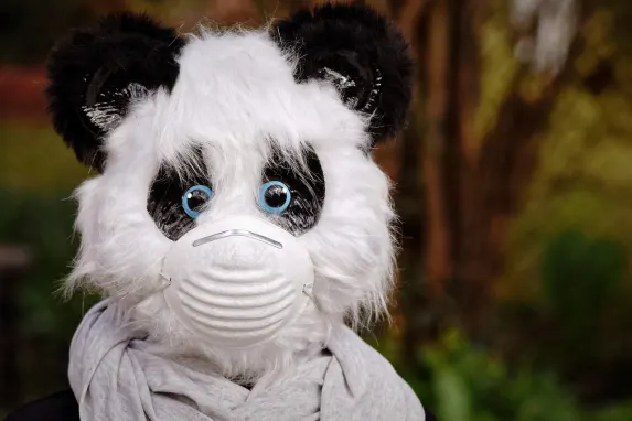 TopBet Casino Supporto